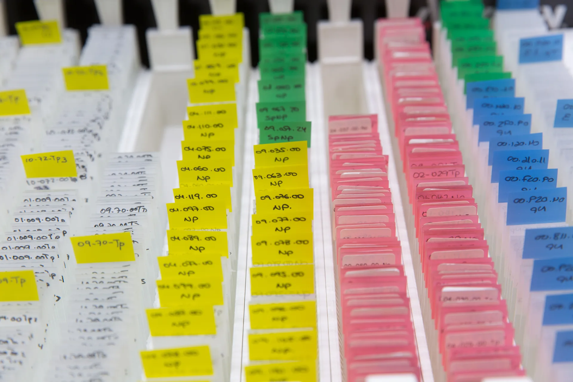 Rows of color-coded microscope slides representing diverse pipeline assets